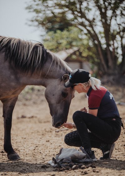Bliv uddannet med heste hos Camilla Stormont